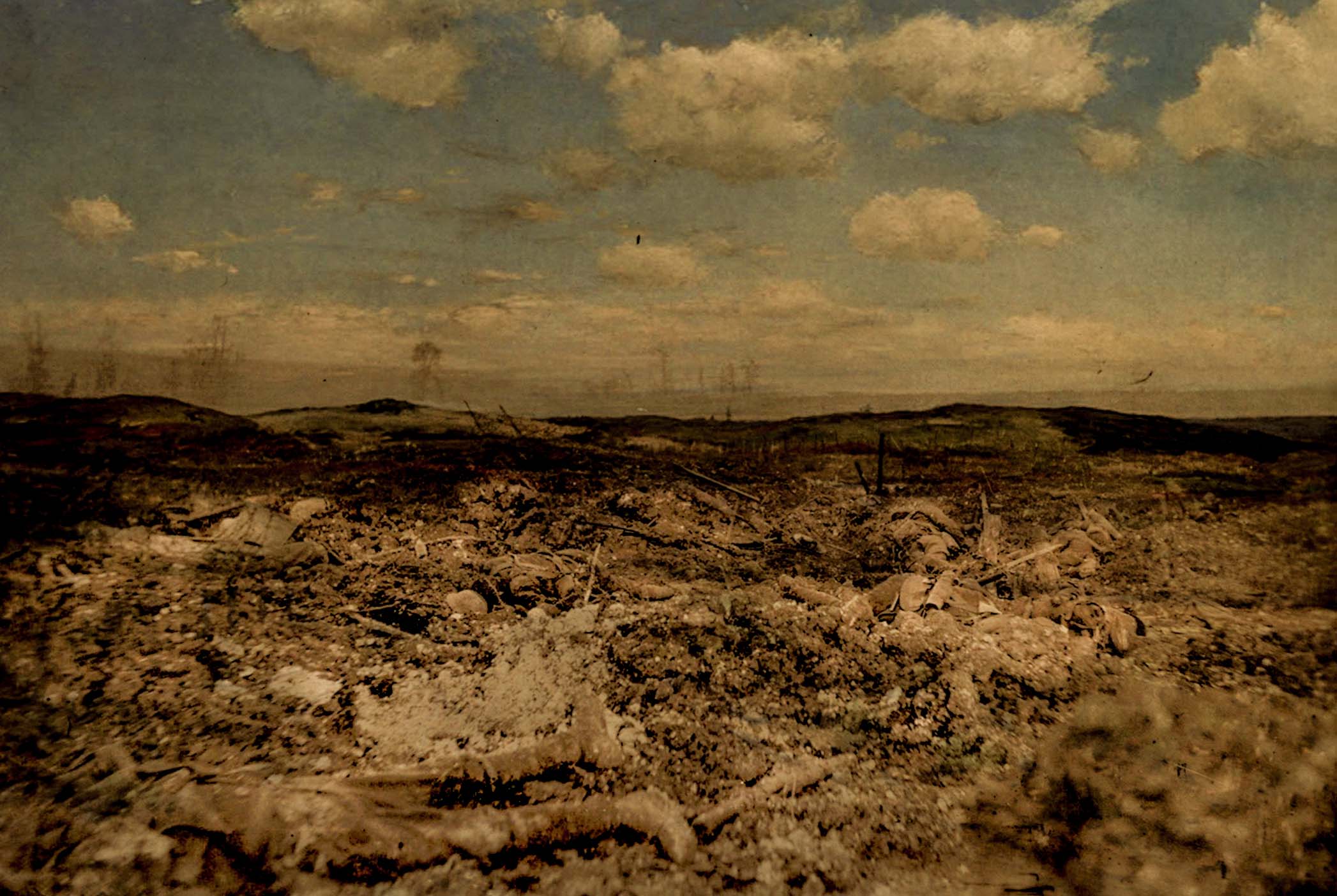 Still landscape 1